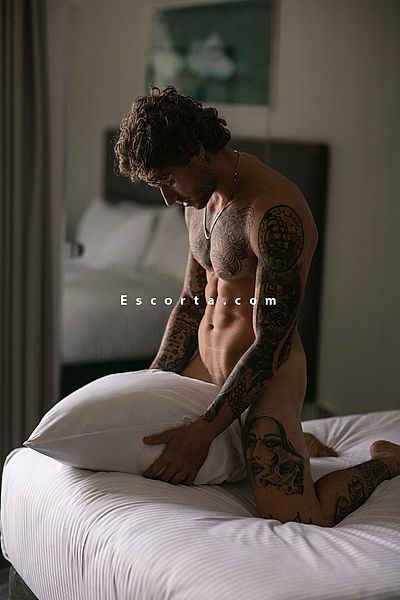 Gwoodlightt - Milano Boy Escorts #8