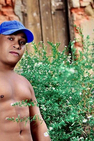 Matteuss - Milano Boy Escorts #2