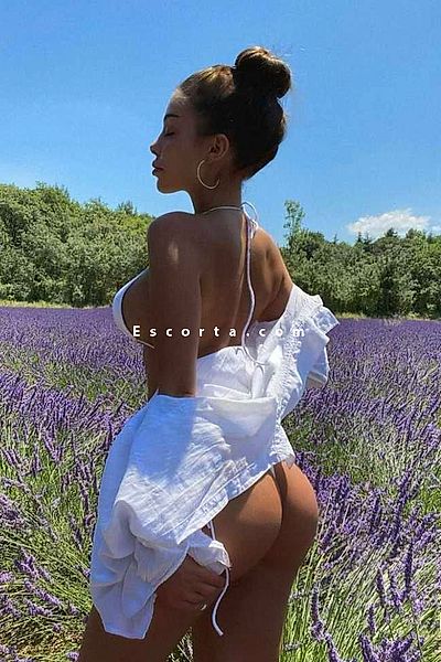 Beatris - Bologna Escorts #6