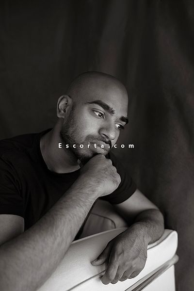 Mrwildwolf89 - Modena Boy Escorts #2