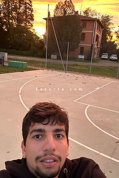 AliSantana - Bologna Boy Escorts #3