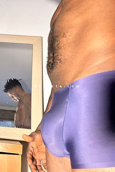 MaV231 - Piacenza Boy Escorts #1