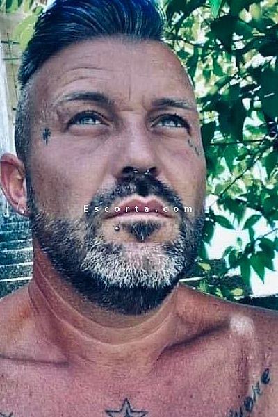 Alessio - Uomo cerca donna Treviso #2