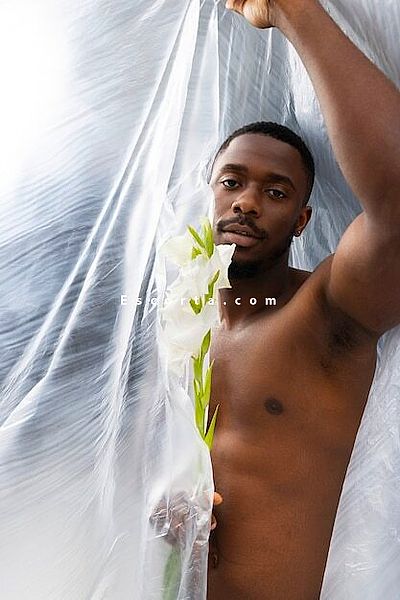 Maxwell - Brescia Boy Escorts #3