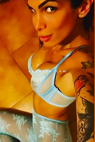 Linda Wild - Grosseto Escorts #2