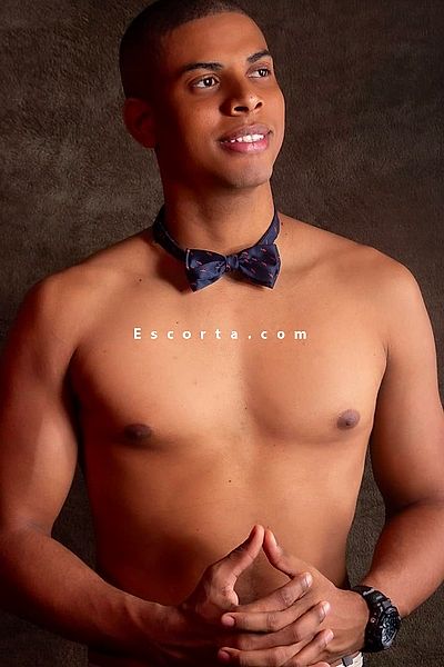 Elvis24cm - Rome Boy Escorts #2