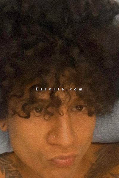 alexander - Milano Boy Escorts #6
