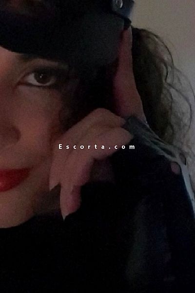 TheCat - Escort Trans Napoli #3