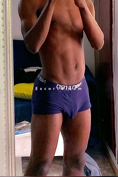 Hermann12 - Rome Boy Escorts #2