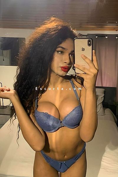 Miele - Milano Trans Escorts #2
