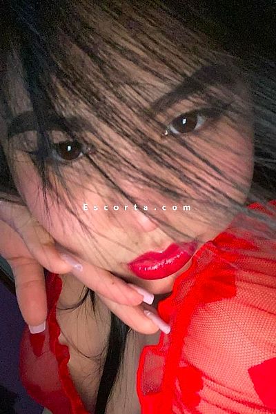 Ari - Cremona Escorts #2