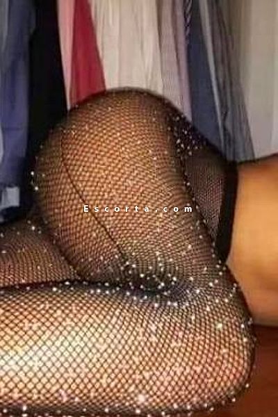 Tyhanna - Bologna Trans Escorts #6