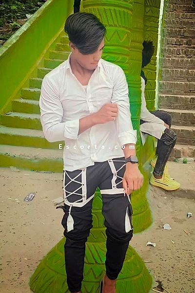 King - Senigallia Boy Escorts #2