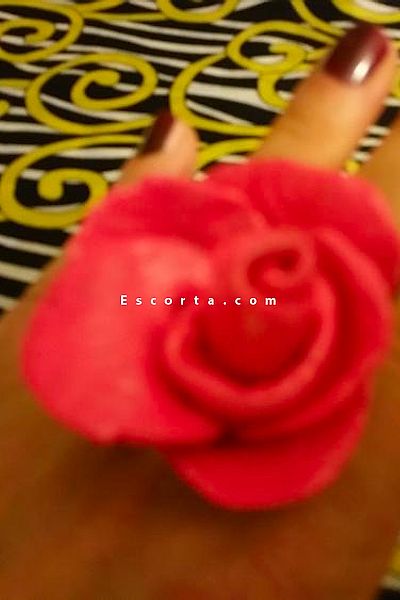 Tarantella - Salerno Escorts #2