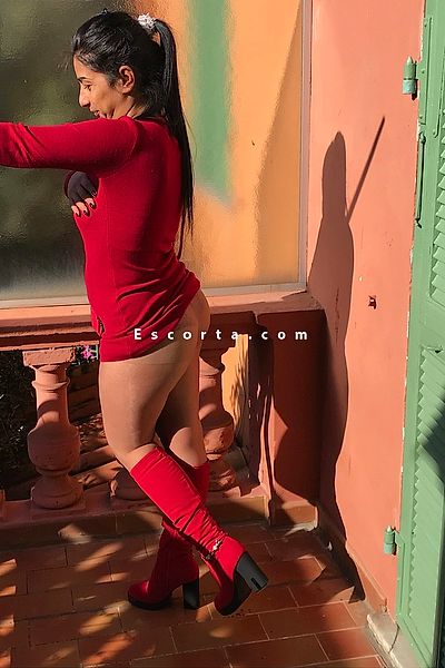 alina - Sanremo Escorts #6